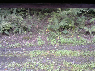 長野県菅平高原 ゆたか山荘 南側 2025/10/04 09:30