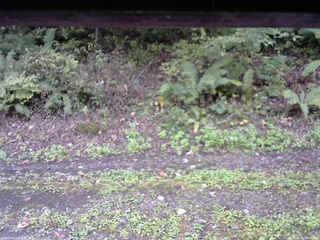 長野県菅平高原 ゆたか山荘 南側 2025/10/04 09:45