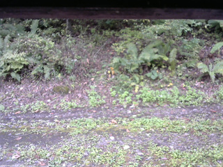 長野県菅平高原 ゆたか山荘 南側 2025/10/04 10:15