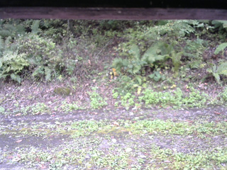 長野県菅平高原 ゆたか山荘 南側 2025/10/04 10:30