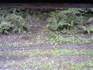 長野県菅平高原 ゆたか山荘 南側 2025/10/04 10:45