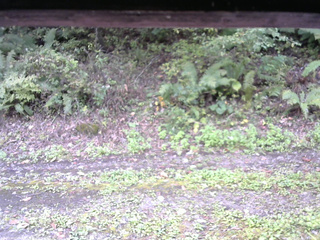 長野県菅平高原 ゆたか山荘 南側 2025/10/04 11:00