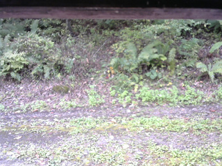 長野県菅平高原 ゆたか山荘 南側 2025/10/04 11:15