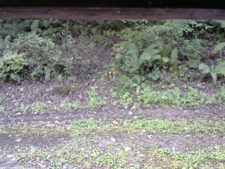 長野県菅平高原 ゆたか山荘 南側 2025/10/04 11:30