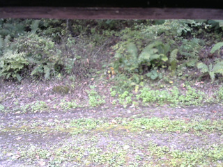 長野県菅平高原 ゆたか山荘 南側 2025/10/04 13:00