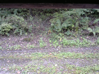 長野県菅平高原 ゆたか山荘 南側 2025/10/04 13:15