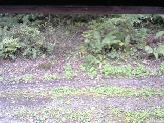 長野県菅平高原 ゆたか山荘 南側 2025/10/04 14:00