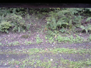 長野県菅平高原 ゆたか山荘 南側 2025/10/04 14:45