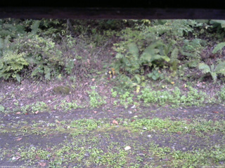 長野県菅平高原 ゆたか山荘 南側 2025/10/04 15:00