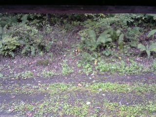 長野県菅平高原 ゆたか山荘 南側 2025/10/04 15:15