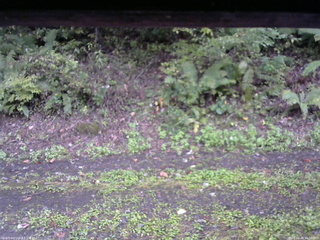 長野県菅平高原 ゆたか山荘 南側 2025/10/04 15:30