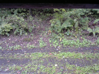 長野県菅平高原 ゆたか山荘 南側 2025/10/04 15:45