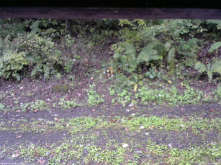 長野県菅平高原 ゆたか山荘 南側 2025/10/04 16:15