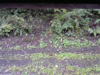 長野県菅平高原 ゆたか山荘 南側 2025/10/04 16:45