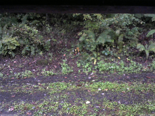 長野県菅平高原 ゆたか山荘 南側 2025/10/04 17:00