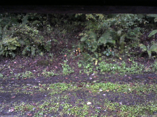 長野県菅平高原 ゆたか山荘 南側 2025/10/04 17:15