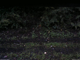 長野県菅平高原 ゆたか山荘 南側 2025/10/04 17:30