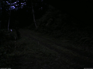 長野県菅平高原 ゆたか山荘 東側(坂下) 2025/10/04 05:30