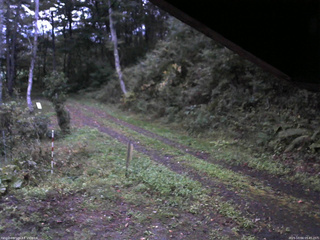長野県菅平高原 ゆたか山荘 東側(坂下) 2025/10/04 05:45