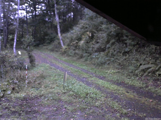 長野県菅平高原 ゆたか山荘 東側(坂下) 2025/10/04 06:00