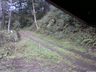 長野県菅平高原 ゆたか山荘 東側(坂下) 2025/10/04 06:15