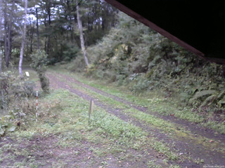 長野県菅平高原 ゆたか山荘 東側(坂下) 2025/10/04 06:45