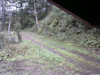 長野県菅平高原 ゆたか山荘 東側(坂下) 2025/10/04 08:30