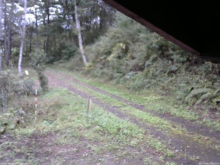 長野県菅平高原 ゆたか山荘 東側(坂下) 2025/10/04 08:45