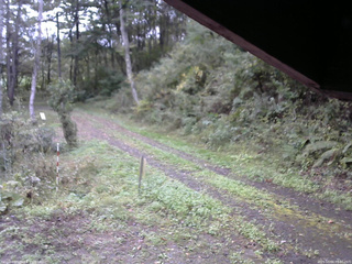 長野県菅平高原 ゆたか山荘 東側(坂下) 2025/10/04 09:00