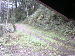 長野県菅平高原 ゆたか山荘 東側(坂下) 2025/10/04 09:15