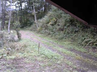 長野県菅平高原 ゆたか山荘 東側(坂下) 2025/10/04 10:00