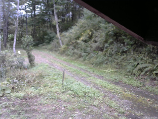 長野県菅平高原 ゆたか山荘 東側(坂下) 2025/10/04 10:45
