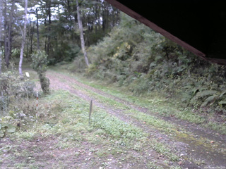 長野県菅平高原 ゆたか山荘 東側(坂下) 2025/10/04 11:00