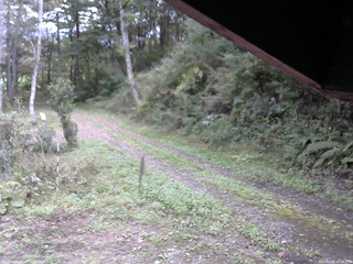 長野県菅平高原 ゆたか山荘 東側(坂下) 2025/10/04 11:30
