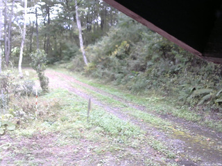 長野県菅平高原 ゆたか山荘 東側(坂下) 2025/10/04 11:45
