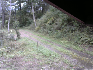 長野県菅平高原 ゆたか山荘 東側(坂下) 2025/10/04 12:15