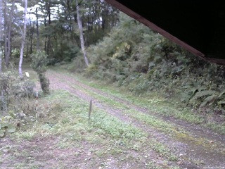 長野県菅平高原 ゆたか山荘 東側(坂下) 2025/10/04 13:00