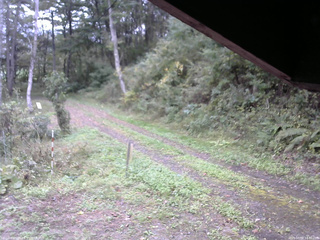 長野県菅平高原 ゆたか山荘 東側(坂下) 2025/10/04 14:30