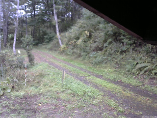 長野県菅平高原 ゆたか山荘 東側(坂下) 2025/10/04 15:30