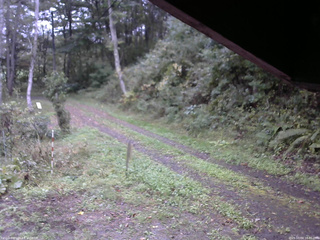 長野県菅平高原 ゆたか山荘 東側(坂下) 2025/10/04 16:00