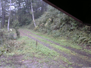 長野県菅平高原 ゆたか山荘 東側(坂下) 2025/10/04 16:30