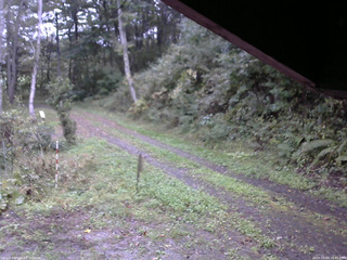 長野県菅平高原 ゆたか山荘 東側(坂下) 2025/10/04 16:45