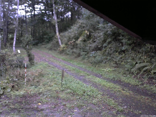 長野県菅平高原 ゆたか山荘 東側(坂下) 2025/10/04 17:00