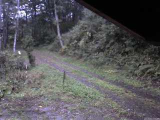 長野県菅平高原 ゆたか山荘 東側(坂下) 2025/10/04 17:15
