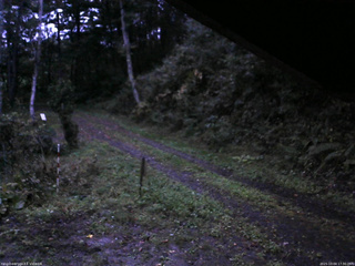長野県菅平高原 ゆたか山荘 東側(坂下) 2025/10/04 17:30