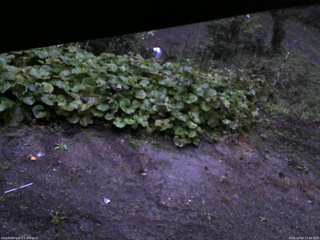 長野県菅平高原 ゆたか山荘 駐車場 2025/10/04 17:30