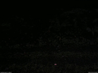 長野県菅平高原 ゆたか山荘 南側 2025/10/05 05:30