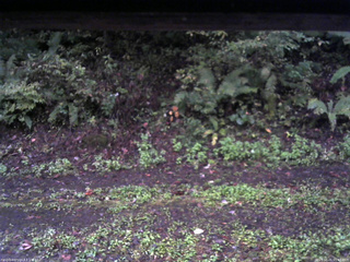 長野県菅平高原 ゆたか山荘 南側 2025/10/05 05:45