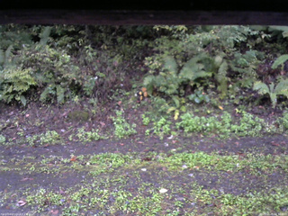 長野県菅平高原 ゆたか山荘 南側 2025/10/05 06:30