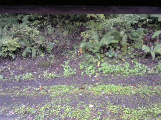 長野県菅平高原 ゆたか山荘 南側 2025/10/05 06:45